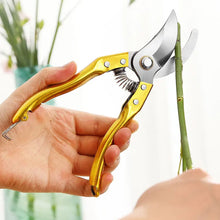 Gardening Tools - Garden Shears Pruners Scissor (1 Pc)